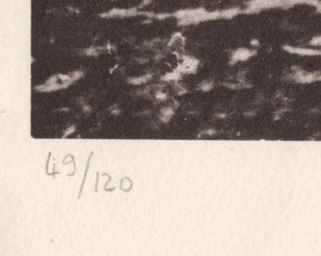 Leur amour dura le temps d'une paire de lancets 1974 49/120