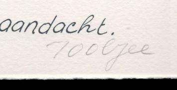 Belgische graficus en schilder Pjeroo Roobjee