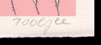 Van het wilde westen geen nieuws