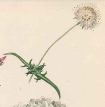 Schilderijtje op papier van Pascal Van Den Steen