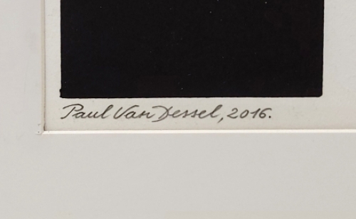 Lino van Paul Van Dessel kopen uit 2016