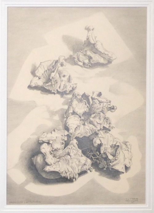 Kunstwerkje paddestoelen van A. Luyckx