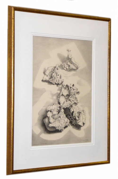 Tekening van de Belgische kunstschilder Antoon Luyckx