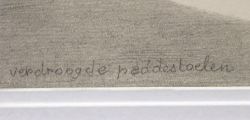 Verdroogde paddestoelen 1980-82