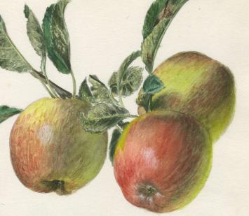 Waterverfschilderij door de Belgische kunstenaar Pascal Van Den Steen