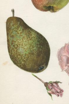 Belgische schilder Pascal Van Den Steen