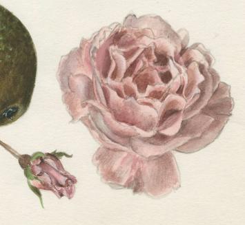 Schilderijtje op papier van Pascal Van Den Steen