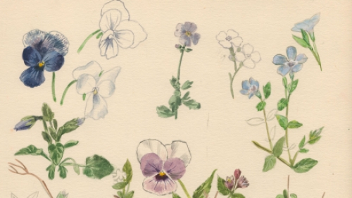 Aquarel door de Belgische kunstenaar Pascal Van Den Steen