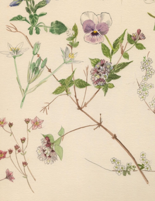 Belgische schilder Pascal Van Den Steen