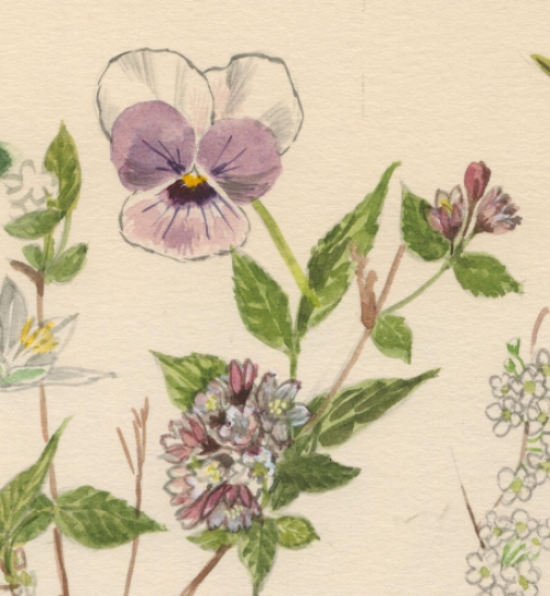 Schilderijtje op papier van Pascal Van Den Steen