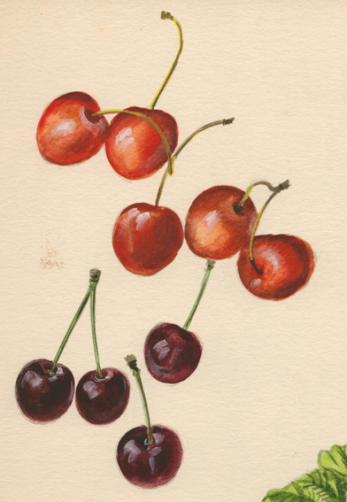 Belgische schilder Pascal Van Den Steen