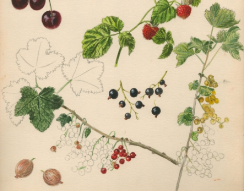 Schilderijtje op papier van Pascal Van Den Steen