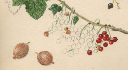 Schilderijen van Belgische kunstenaars kopen