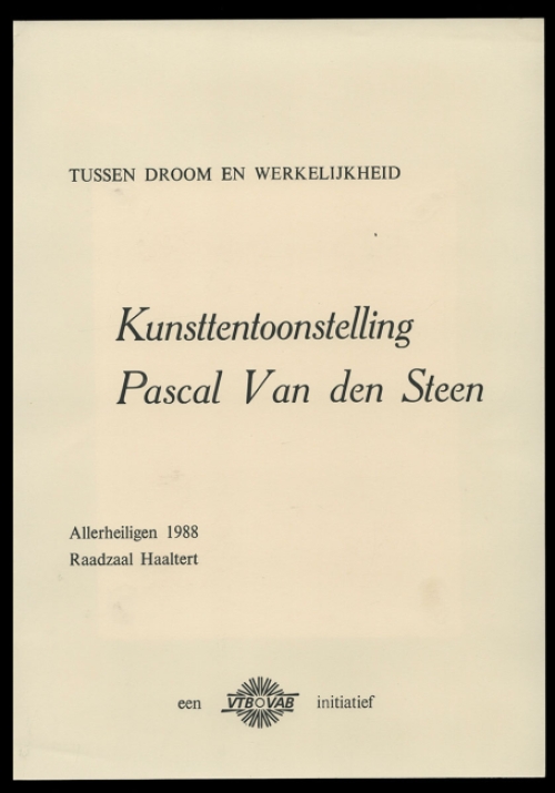 Schilderijen van Belgische kunstschilders kopen