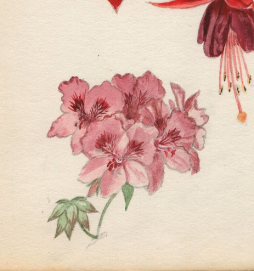 Schilderijtje op papier van Pascal Van Den Steen