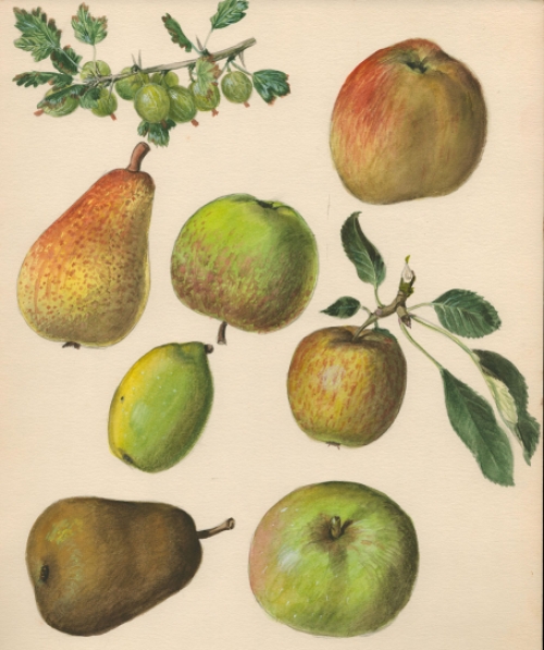 Aquarel van Pascal Van Den Steen kopen