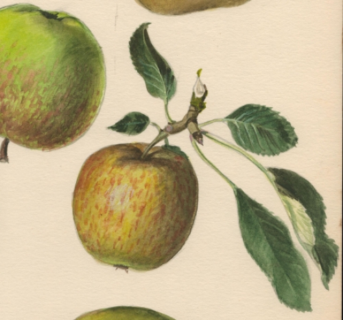 Belgische schilder Pascal Van Den Steen