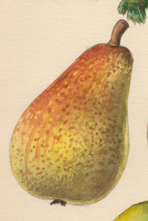 Schilderijtje op papier van Pascal Van Den Steen