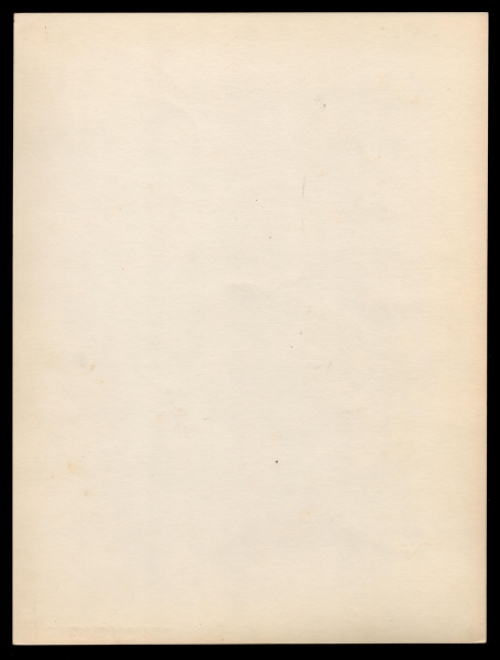 Aquarel, inheems fruit (+/- 1960)