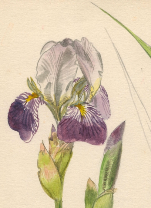 Belgische schilder Pascal Van Den Steen