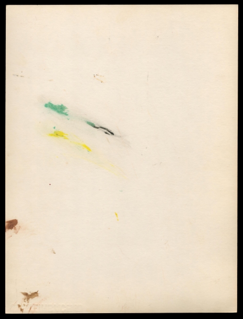 Aquarel; Iris, vlinders en wilde bloemen (+/- 1960)