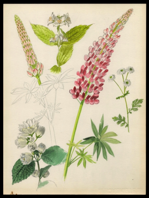 Aquarel van P. Van Den Steen kopen