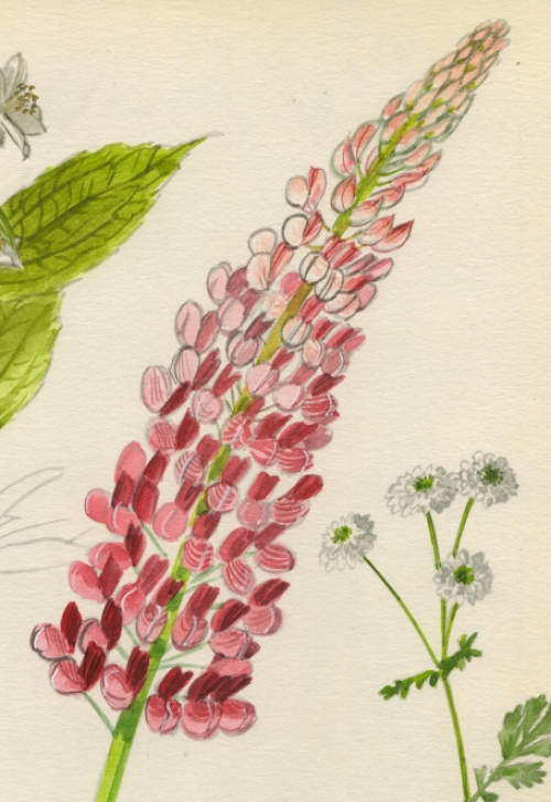 Aquarel door de Belgische kunstenaar Pascal Van Den Steen