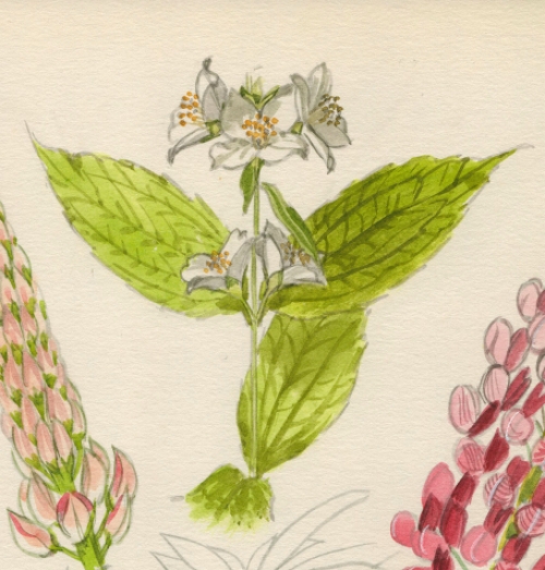 Schilderijtje op papier van Pascal Van Den Steen