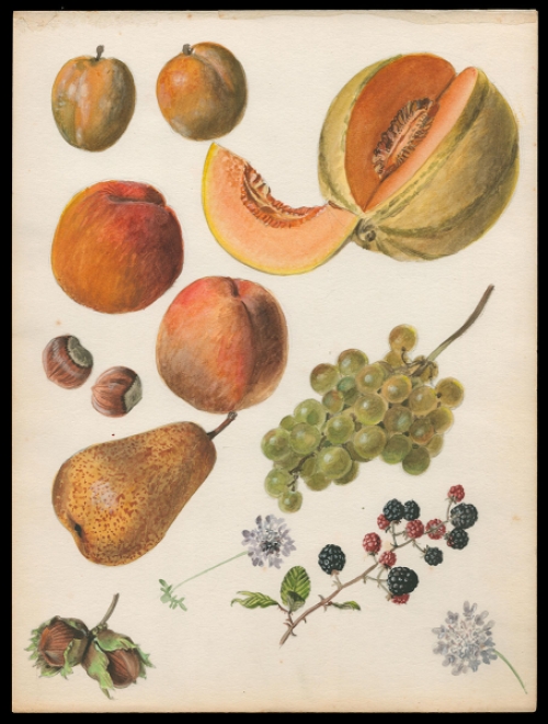 Aquarel van P. Van Den Steen kopen