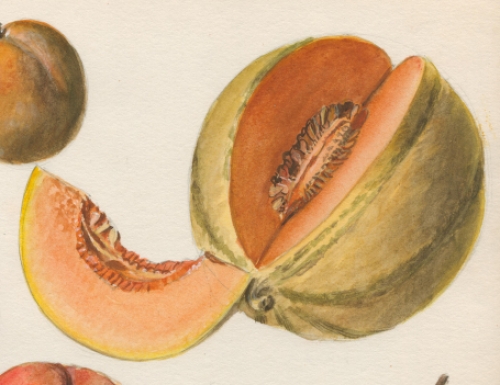 Aquarel door de Belgische kunstenaar Pascal Van Den Steen