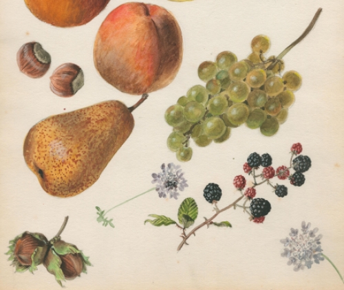 Belgische schilder Pascal Van Den Steen