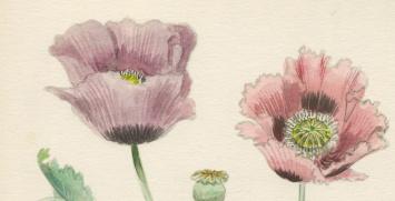 Waterverfschilderij door de Belgische kunstenaar Pascal Van Den Steen