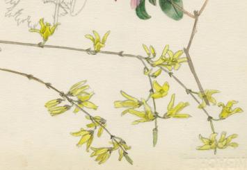 Schilderijtje op papier van Pascal Van Den Steen