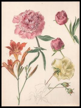 Kunstwerkje, aquarel van Pascal Van Den Steen
