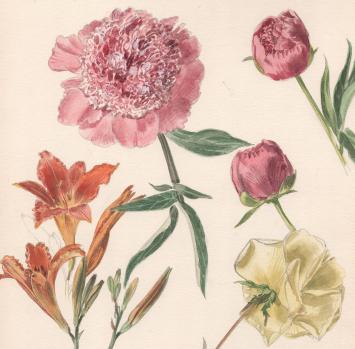 Waterverfschilderij door de Belgische kunstenaar Pascal Van Den Steen