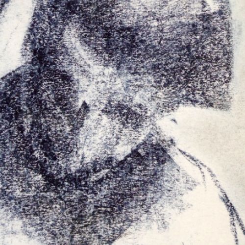 Naakte vrouw pastelkrijt