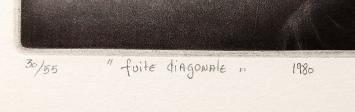 fuite diagonale 1980 30/55
