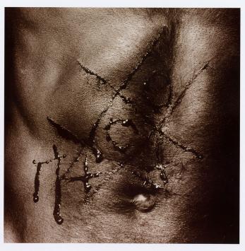 Automutulation van de Nederlandse fotograaf Paul Blanca