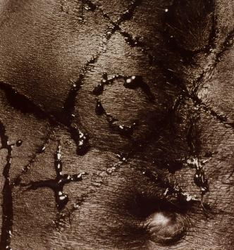 Automutulation OXO C-Print