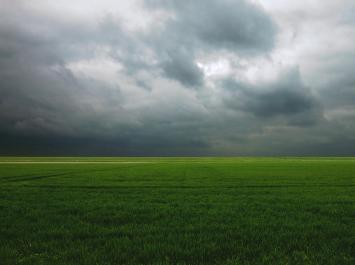 C-print van de Nederlandse fotograaf Paul Blanca kopen