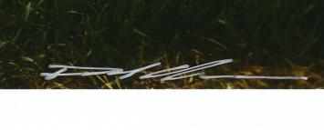 Rondje Nederland Groningen , C-Print 2010