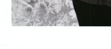 De Amsterdamse kunstenaar Paul Blanca