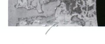 De Amsterdamse kunstenaar Paul Blanca