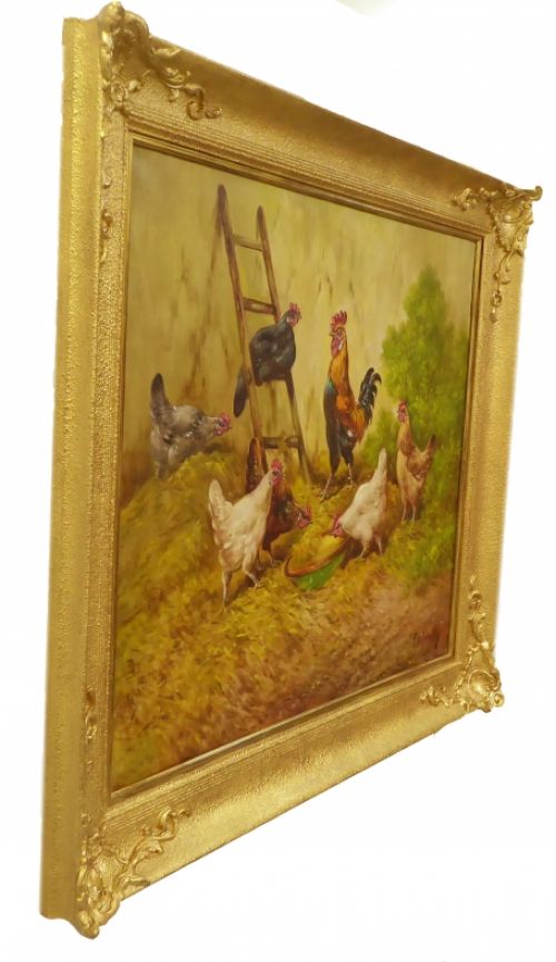 Pronkende haan met kippen