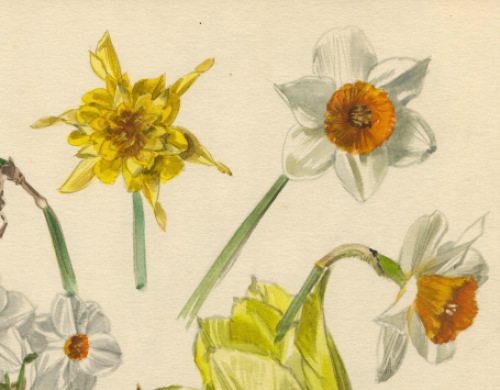 Aquarel door de Belgische kunstenaar Pascal Van Den Steen