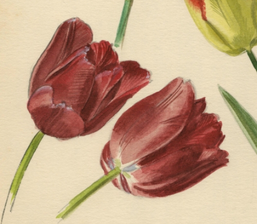 Belgische schilder Pascal Van Den Steen