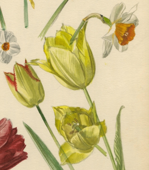 Schilderijtje op papier van Pascal Van Den Steen