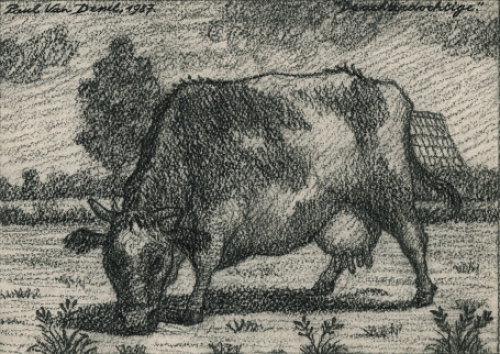 Tekening van een koe van de Belgische kunstenaar Paul Van Dessel kopen