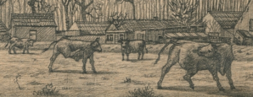 Paul Van Dessel met een tekening ui 1986