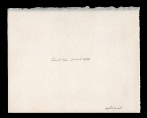 Vanitas van Paul Van Dessel